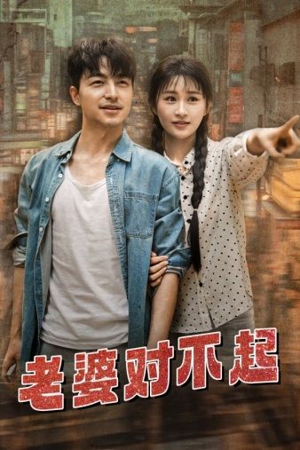 《老婆对不起》海报