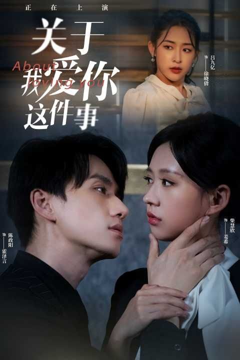 《关于我爱你这件事》海报