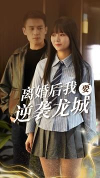 《离婚后我要逆袭龙城》海报