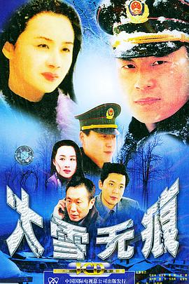 《大雪无痕》海报