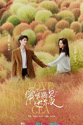 《治愈系恋人》海报