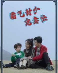 《霸气封少宠妻忙》海报