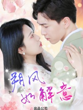 《朔风有解意》海报