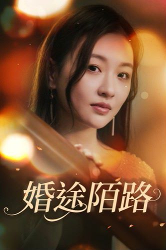 《婚途陌路》海报