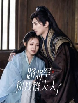 《路将军你找错夫人了》海报
