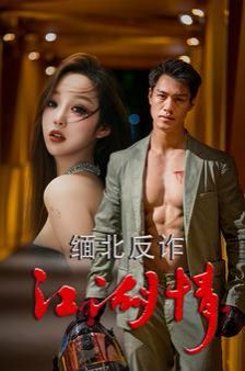 《缅北反诈江湖情》海报