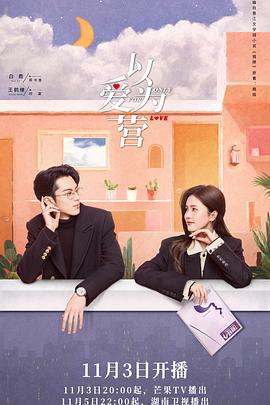 《以爱为营》海报