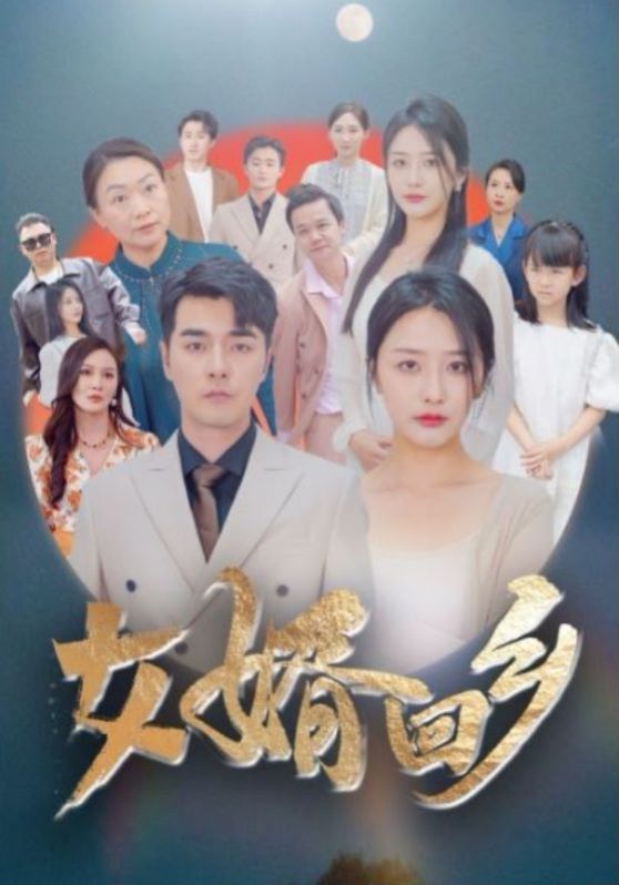 《女婿回乡》海报
