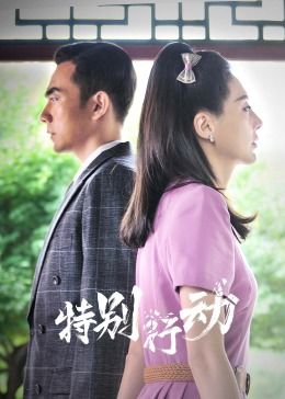 《特别行动》海报