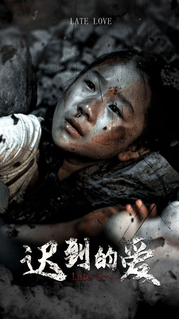 《迟到的爱》海报