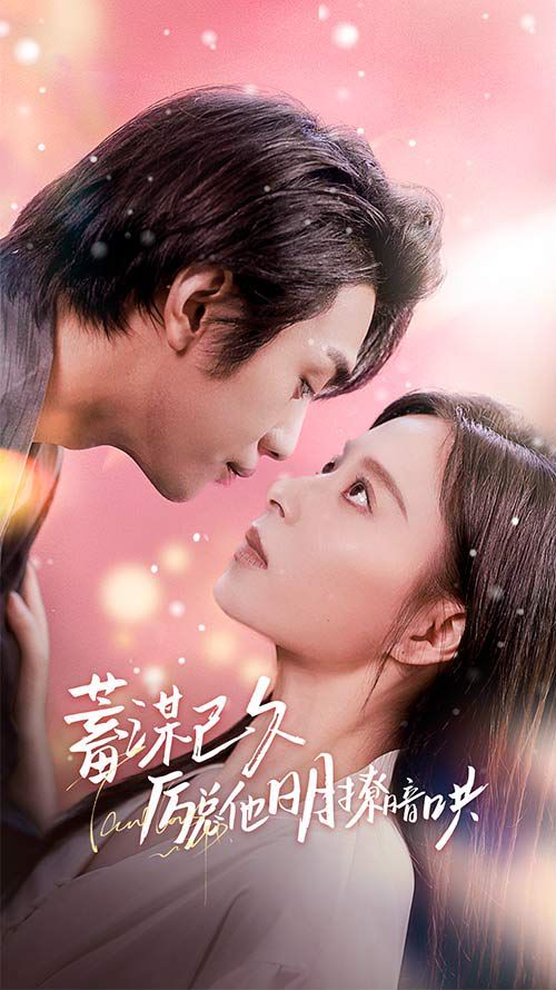 《蓄谋已久历总他明撩暗哄（历总夫人她又跑了）》海报