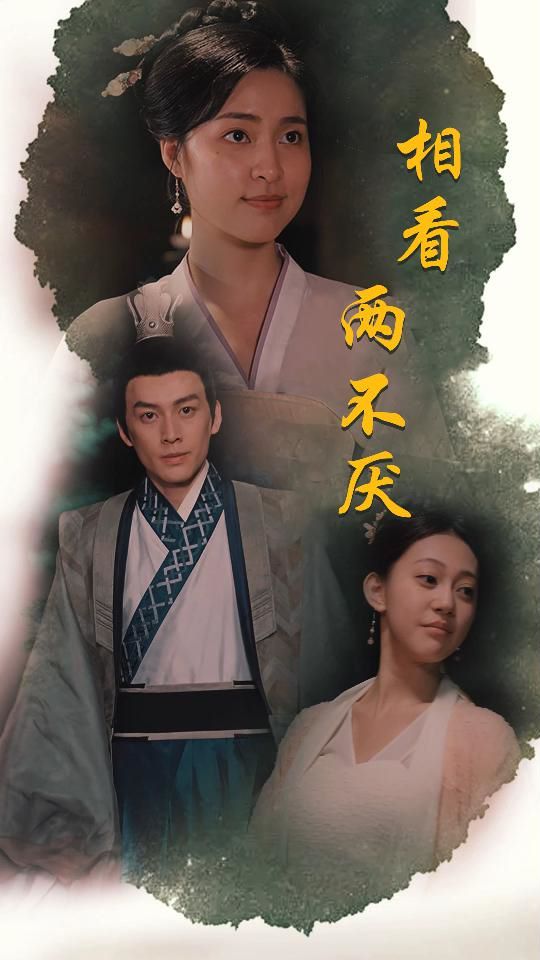 《相看两不厌(这个王妃不好惹)》海报