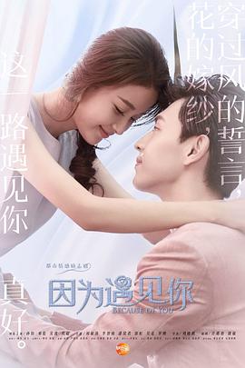 《因为遇见你》海报