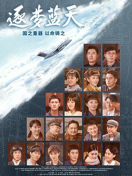 《逐梦蓝天》海报