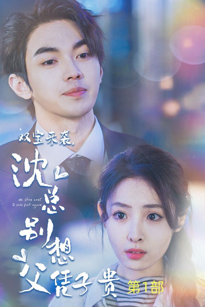 《双宝来袭沈总别想父凭子贵（报告妈咪便宜爹地竟是总裁）》海报