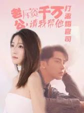 《老公拆资千万请我帮他打离婚官司》海报