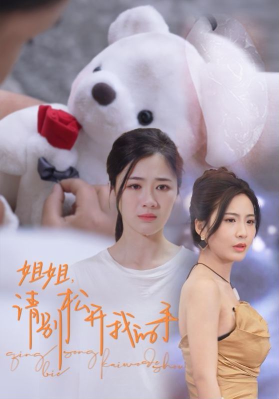 《姐姐请别松开我的手》海报