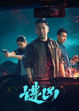 《刑侦档案·谜凶》海报