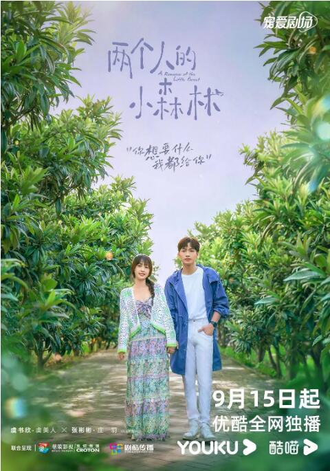 《两个人的小森林》海报