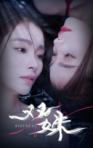 《双姝》海报