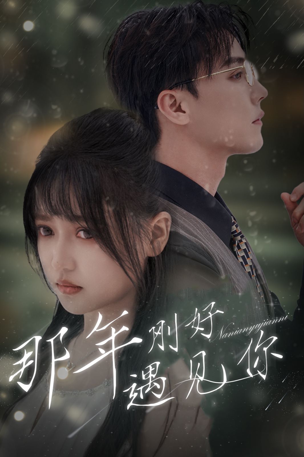 《那年刚好遇见你（那年遇见你）》海报