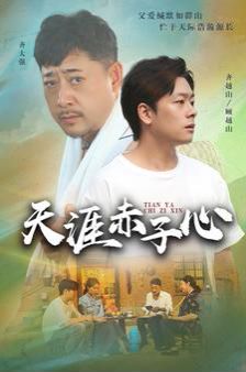 《天涯赤子心》海报