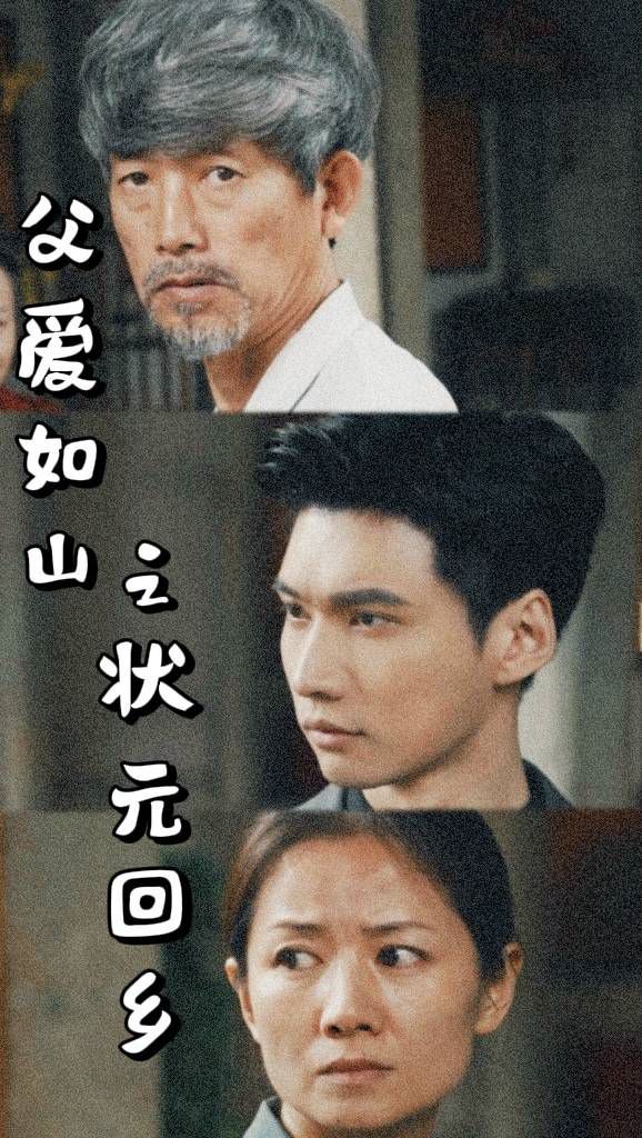 《父爱如山之状元回乡》海报