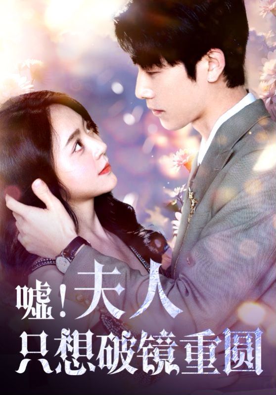 《嘘夫人只想破镜重圆》海报