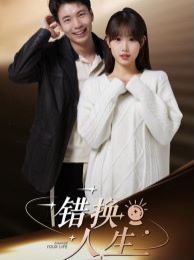 《错换人生》海报