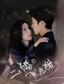 《二婚有点甜》海报