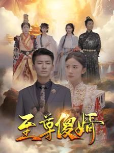 《至尊傻婿》海报