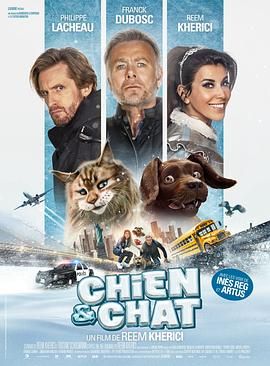 《猫狗大乱斗》海报
