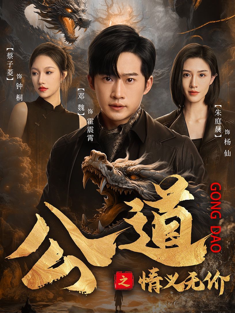 《公道之情义无价》海报