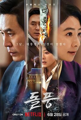《政坛旋风》海报