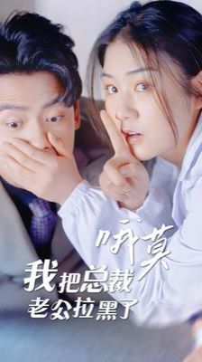 《哦莫我把总裁老公拉黑了》海报