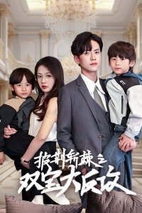 《披荆斩棘之双宝大反攻》海报