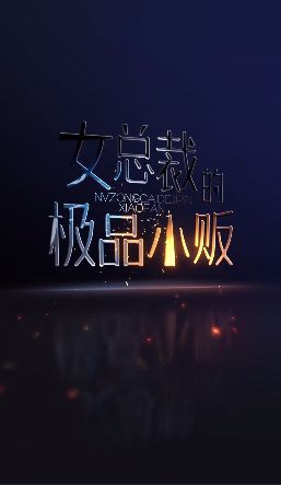 《女总裁的极品小贩》海报