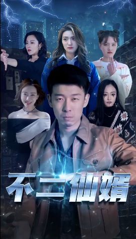 《不二仙婿》海报