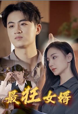 《最狂女婿》海报