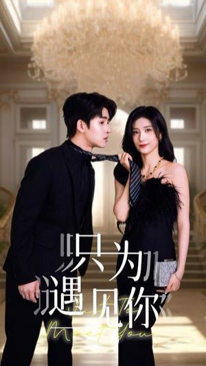 《只为遇见你》海报