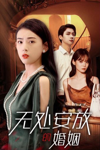 《无处安放的婚姻》海报
