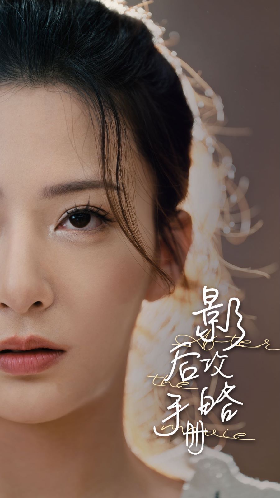 《影后攻略手册》海报