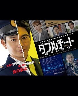 《双面骗子 虚假警察 第一季》海报