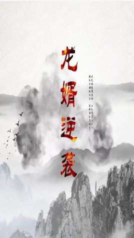 《龙婿逆袭》海报
