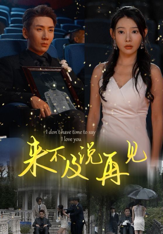 《来不及说再见》海报