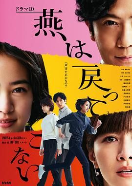 《燕子不再归来》海报