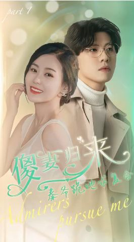《傻妻归来秦爷跪地求复合》海报