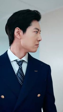 《虐完夫人后叶少他疯了》海报