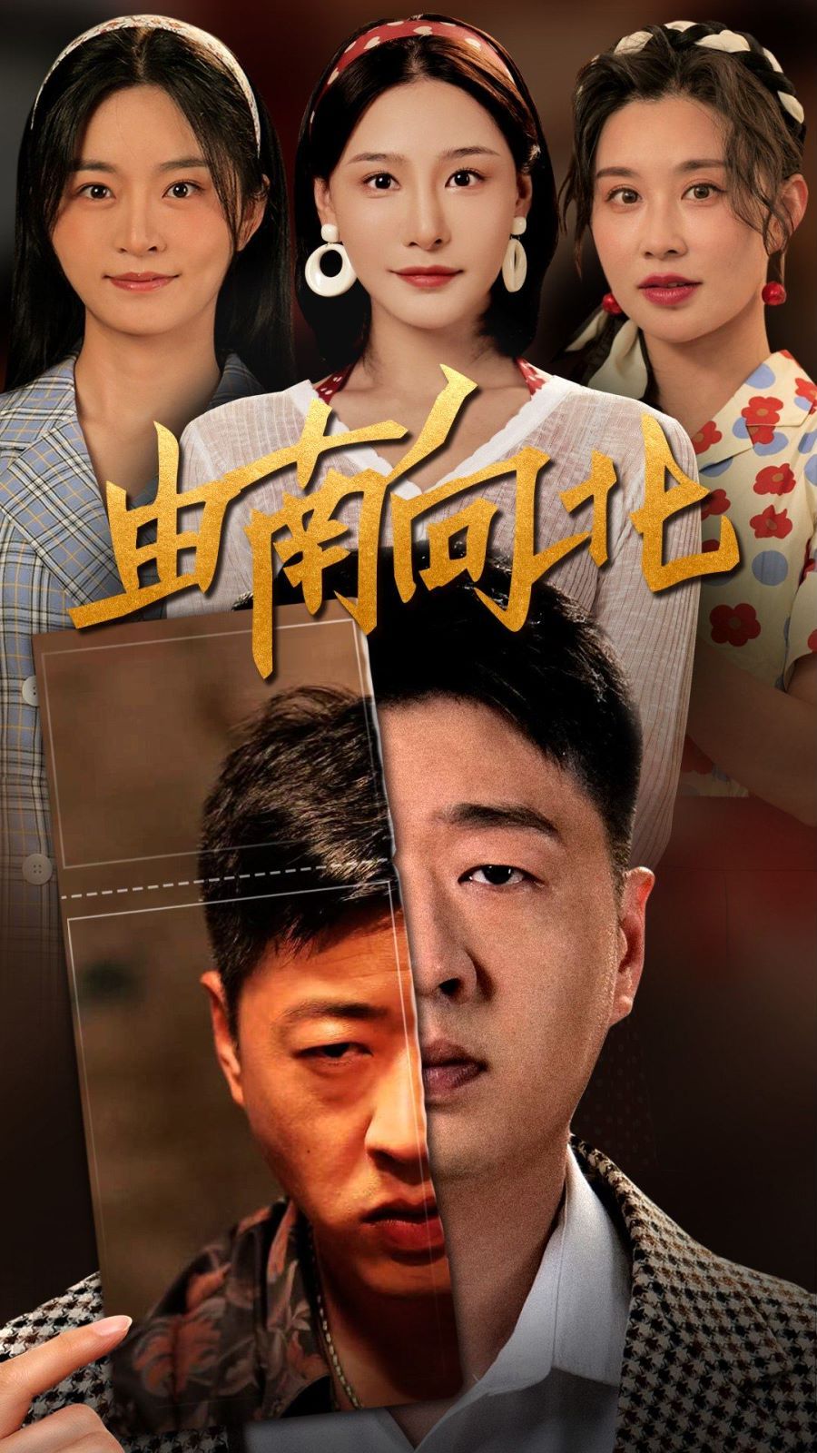 《由南向北》海报