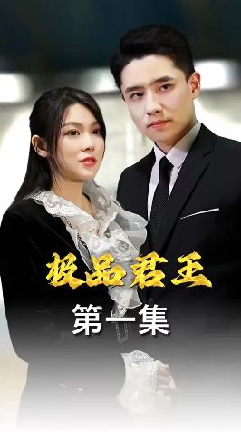 《极品君王》海报